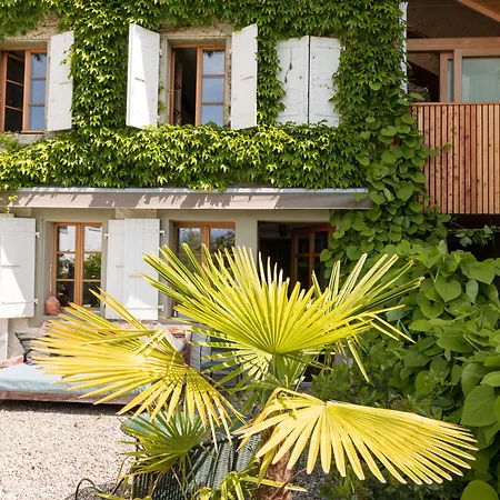 Wonderlandscape Guest House-3